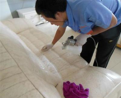 【大連翼家家政/大連開荒保潔 /西崗區(qū)開荒保潔哪家好】不限,價格,廠家,圖片,供應(yīng)商,保潔,大連翼家家政服務(wù) - 熱賣促銷 - 阿土伯交易網(wǎng)