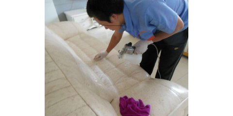 大連翼家家政服務 專業家政服務，讓生活更美好